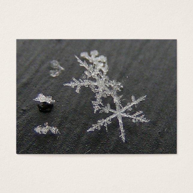 Snow Flake 49 ~ ATC (Frente)