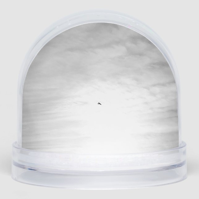 Snow Globe (Anverso)