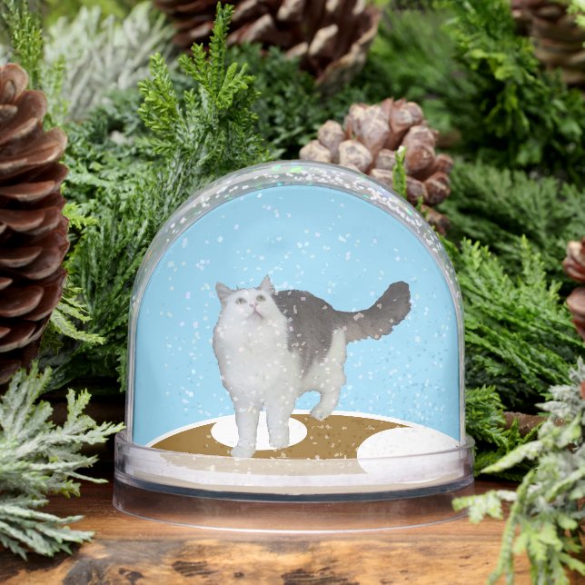 Snow Globe - Cat Looking Up (Invierno)