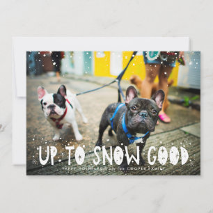 Snow Good Tarjeta de Foto de Mascota para las Fi