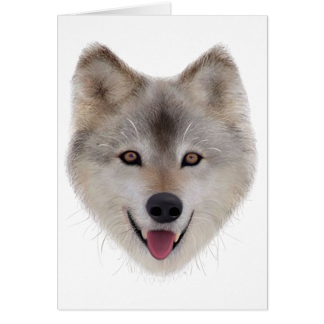 Snow Wolf Sketch (Frente)