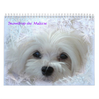 Snowdrop el calendario maltés
