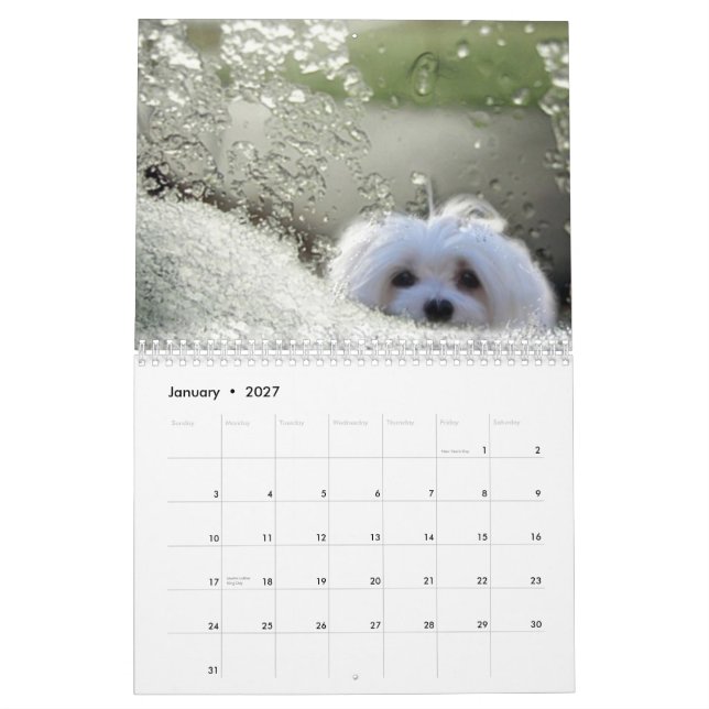 Snowdrop el calendario maltés (Jan 2027)