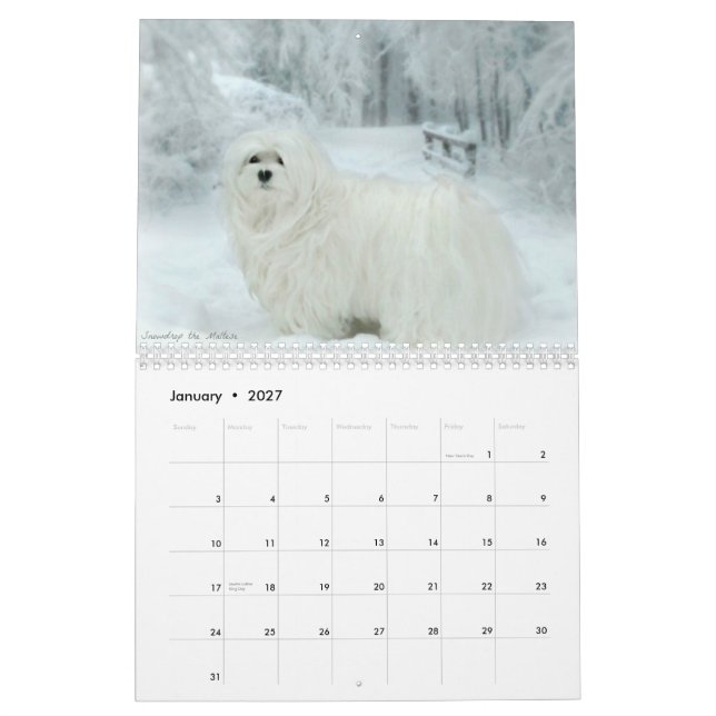 Snowdrop el calendario maltés (Jan 2027)