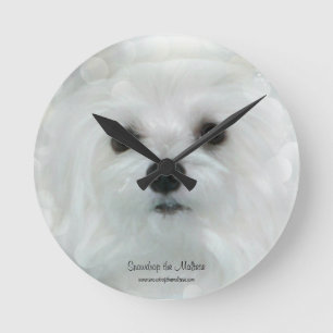 Snowdrop el reloj maltés