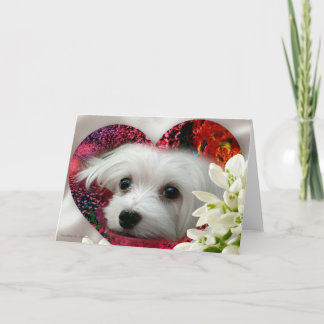 Snowdrop la tarjeta de felicitación en blanco