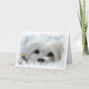 Snowdrop la tarjeta de Navidad maltesa