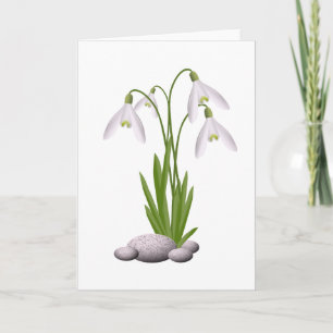 Snowdrop Tarjeta de felicitación