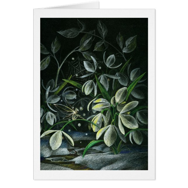 Snowdrops en la noche (Frente)