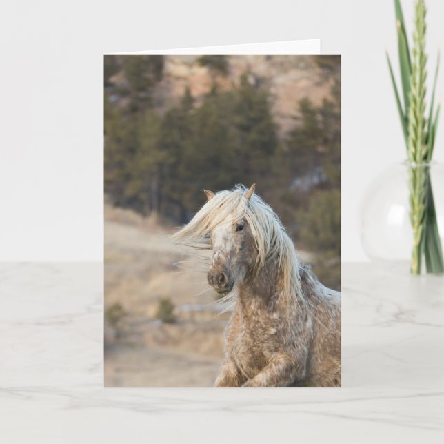 Snowfall: Galloping para tarjeta de felicitación F (Anverso)