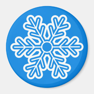 Snowflake de imanes redondos