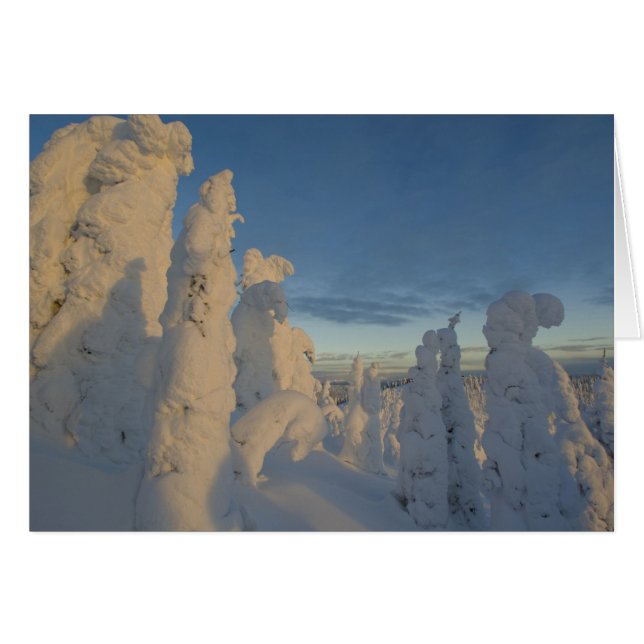 Snowghosts al atardecer en la montaña Whitefish 2 (Anverso (Horizontal))