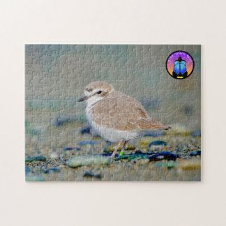 Snowley Plover Jigsaw Puzzle