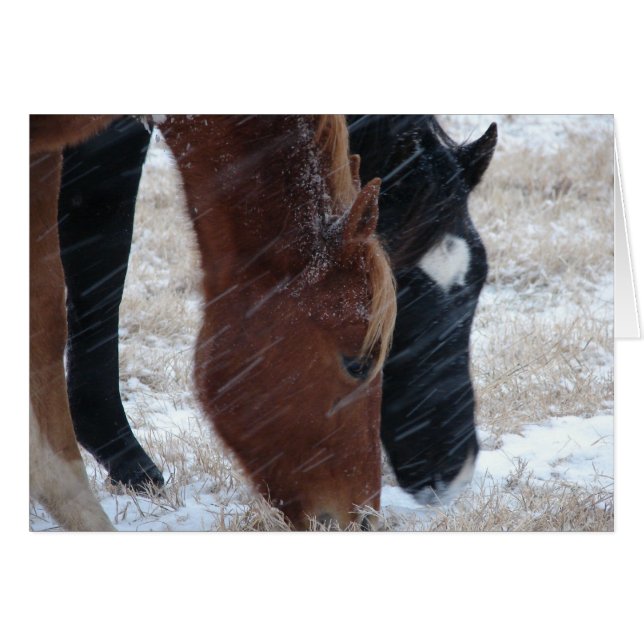 Snowly Eats (Anverso (Horizontal))