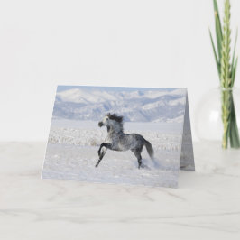 Snowowley Stallion corriendo tarjeta de felicitaci