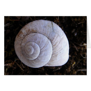 Snowshell de Guay
