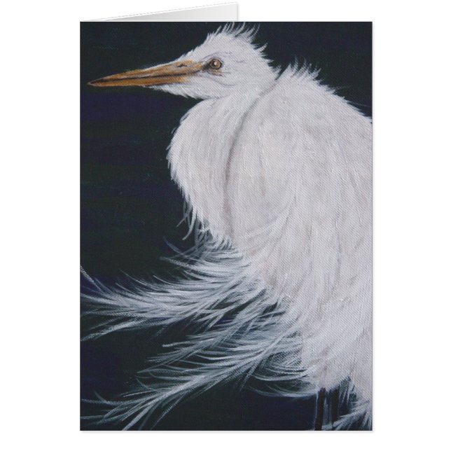 Snowy Egret (Frente)