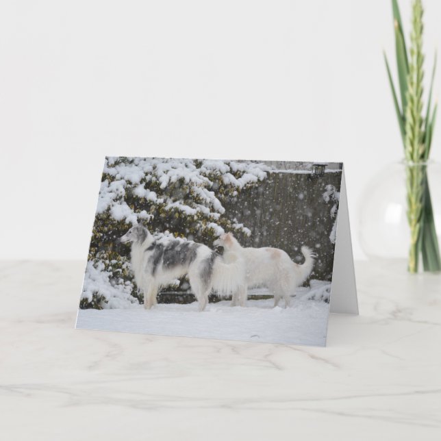 Snowy Hunt Borzoi Fotografía Tarjeta de felicitaci (Anverso)