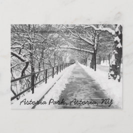 Snowy Lane Astoria, postal NY