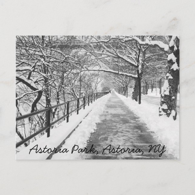 Snowy Lane Astoria, postal NY (Anverso)