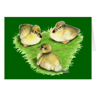 Snowy Mallard Ducklings