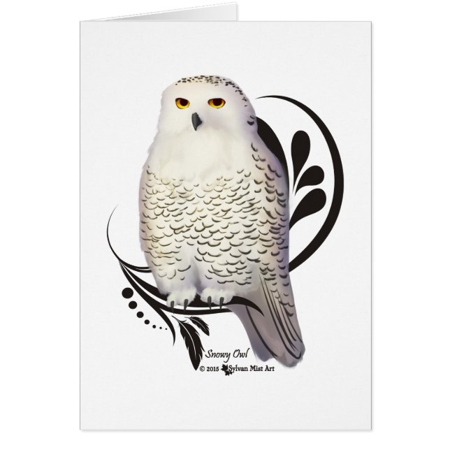 Snowy Owl (Frente)