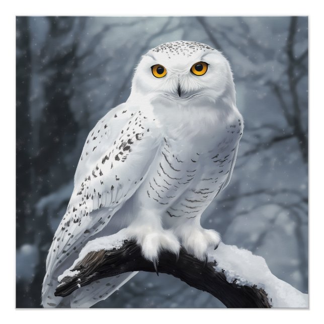 Snowy Owl Poster (Anverso)