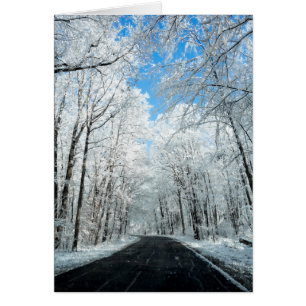 Snowy Winter Road Scene