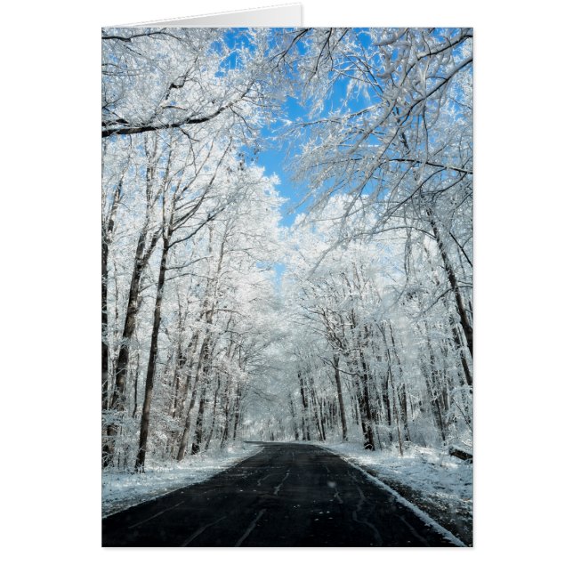 Snowy Winter Road Scene (Frente)