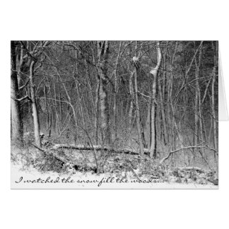 Snowy Woods