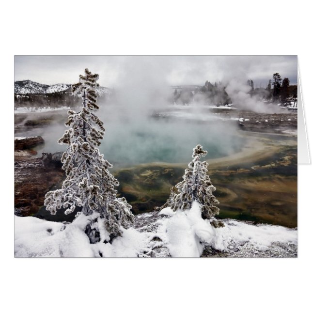 Snowy Yellowstone (Anverso (Horizontal))