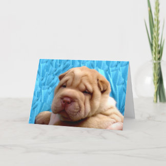 Snuggle me tarjeta de felicitación