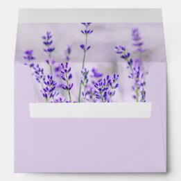 Sobre Boda de campos de lavanda