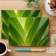 Sobre de Boda Botánico Verde Elegante