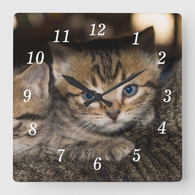 Sobre el reloj de la pared trasera de mamá (Anverso)