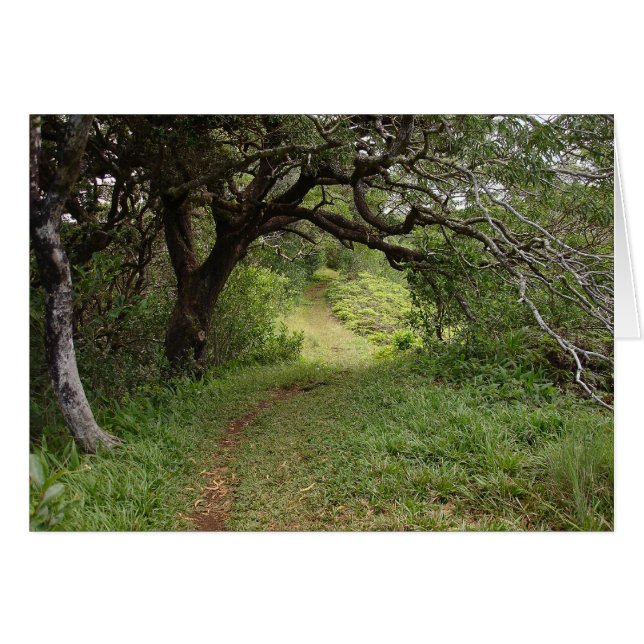 Sobre el Valle de Manoa (Anverso (Horizontal))