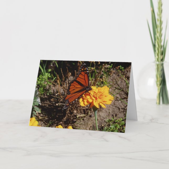 "Sobre una caléndula" Tarjeta de Pascua (Anverso)