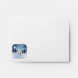 Sobres de la alpaca de la noche del invierno