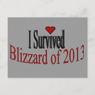 Sobreviví a la postal de Blizzard 2013