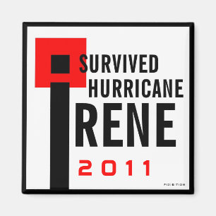 Sobreviví el imán 2 de Irene del huracán