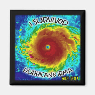 Sobreviví el imán de Irma del huracán