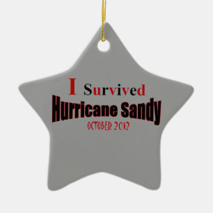 Sobreviví el ornamento de la estrella de Sandy de