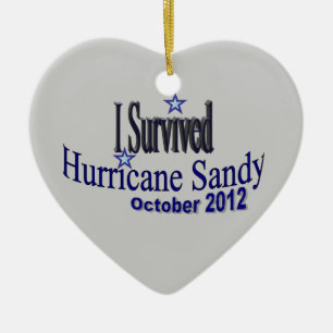 Sobreviví el ornamento de Sandy del huracán