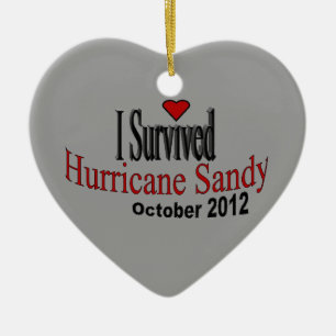 Sobreviví el ornamento de Sandy del huracán