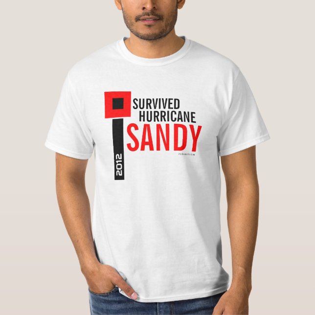 Sobreviví la camiseta 9 de Sandy del huracán (Anverso)
