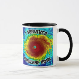 Sobreviví la taza de Irma del huracán