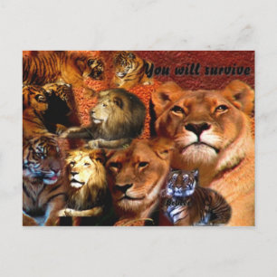 Sobrevivirás a la tarjeta postal de Elenne Boothe