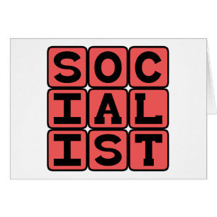 Socialista, Afiliación Política