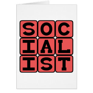 Socialista, Afiliación Política