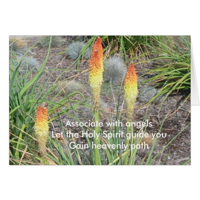 Socio con ángeles (Anverso (Horizontal))